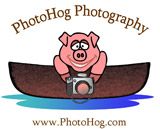 PhotoHog Photography