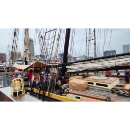 Lynx Schooner