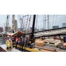 Lynx Schooner