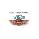 FAA Wings Program
